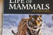 Life of mammals