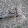 Toyota avensis  hitch from 08 Image 2
