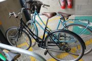 mountain bikes
