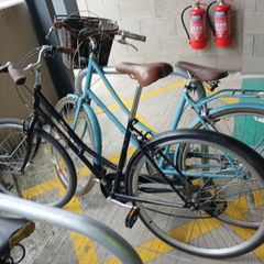 mountain bikes