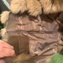 fur coat Image 4