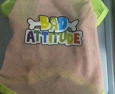 Dog T-shirts