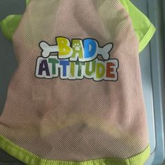 Dog T-shirts