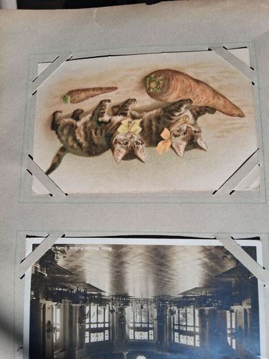 Mega Art Nouveau Postcard Album (197 Pieces)