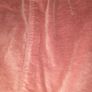 zara skirt, size 6y Image 6