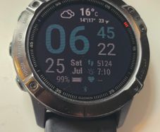 Garmin Fenix 6X Pro