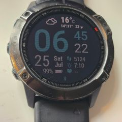 Garmin Fenix 6X Pro