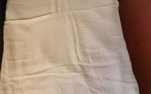 BNWT - Traits Paris cotton designer shaw/scarf
