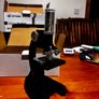 Microscope Opticon Student 1200x zoom Image 6
