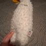 Bouncing Bowie Ziggy Bunny from Guatalupe Creations Image 2