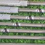 Callaway X Treme Irons Image 7