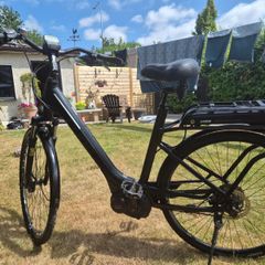 ladies electric bike