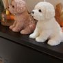Dog soya candle Image 3