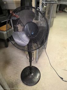 Pedestal fan