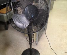 Pedestal fan