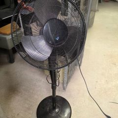 Pedestal fan