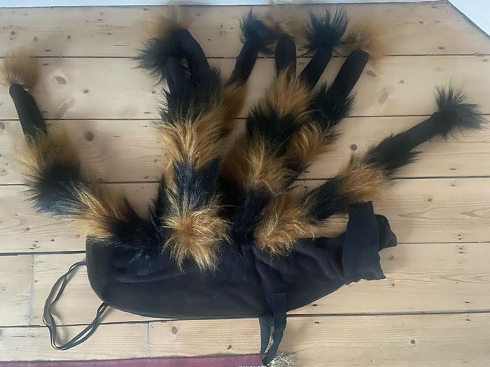 XL dogs - spider costume