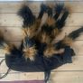 XL dogs - spider costume Image 3