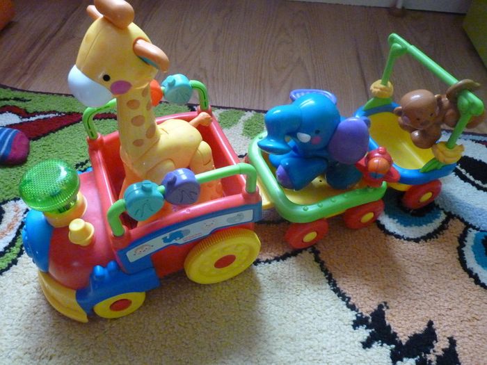Animal train