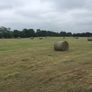Round bales Image 4