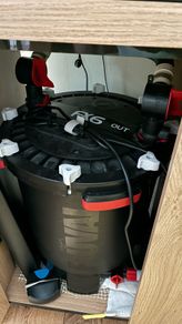 200 liter fish tank