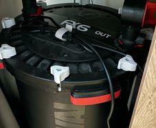 200 liter fish tank