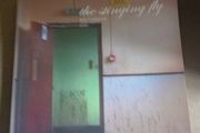 The Stinging Fly Short Irish Fiction