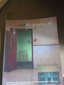 The Stinging Fly Short Irish Fiction