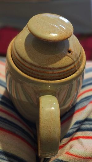 Plastic Plant Pottery Vase Denby Coffee Pot Teaset Shelf