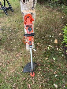 Strimmer