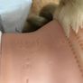 Pre-loved dressed soft body doll Image 8