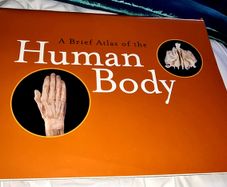 A brief Atlas of the Human Body