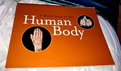 A brief Atlas of the Human Body