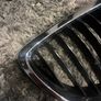 Bmw kidney grills Image 2