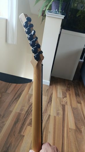 Guitar Parker P42