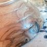 Elm Wooden Bowl Image 5