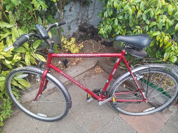 Mens Bike