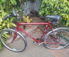 Mens Bike