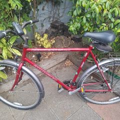 Mens Bike