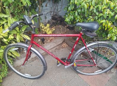 Mens Bike
