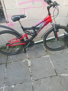 girls bicycle brand new
