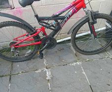 girls bicycle brand new