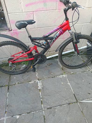girls bicycle brand new