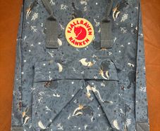 Fjallraven backpack