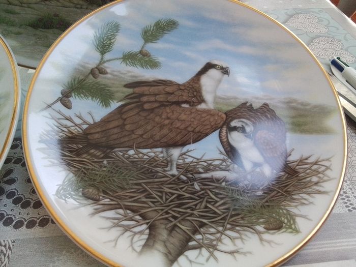 Agl Giftware Collectors Plates