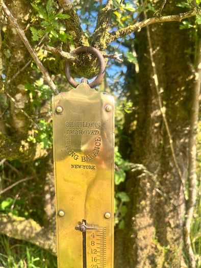 Antique Chatillons New York Brass Scales