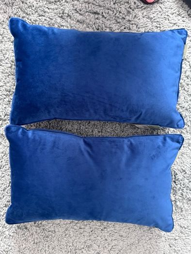 Wylder cushions x 2