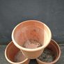 Large plant pots Image 3