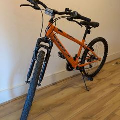 Edgar Verve 24 inch Mountain Bike.