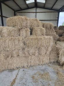 New Organic Small Square Hay Bales